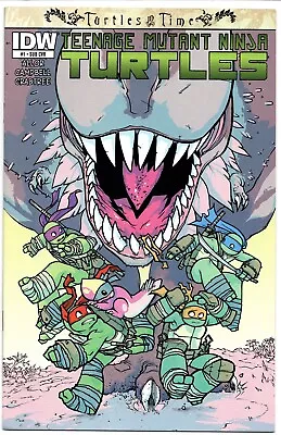 Buy Turtles In Time Teenage Mutant Ninja Turtles Ross Campbell Variant By Idw Comics • 6.50£