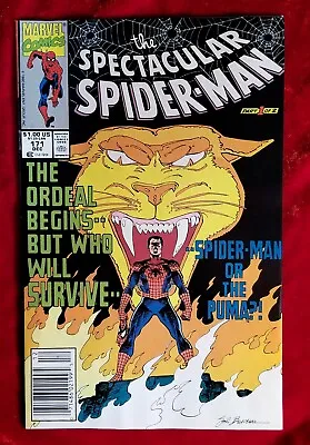 Buy 1990 Spectacular Spider-Man 171 PUMA App NEWSSTAND NS Vtg 90s Stan Lee Comic  • 9.55£
