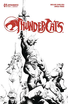 Buy Thundercats #1 1:25 Lee Line Art Variant (07/02/2024) • 9.95£
