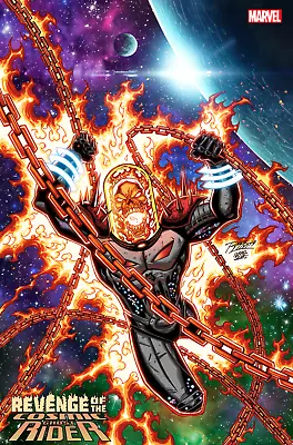 Buy Revenge Of Cosmic Ghost Rider #1 (of 5) Ron Lim Variant (18/12/2019) • 3.85£
