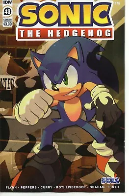 Buy Sonic The Hedgehog Comic 43 Cover B (Herms) IDW 2021 Flynn Peppers Curry • 5.50£