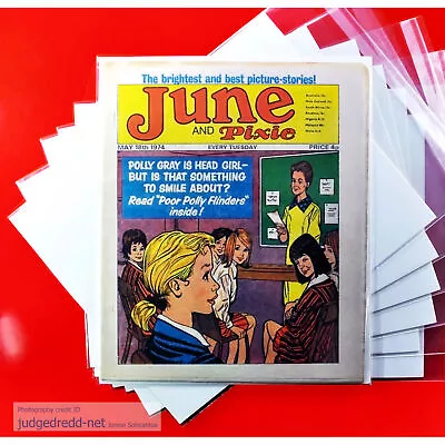Buy JUNE AND PIXIE COMIC BOOK ISSUE 18 5 1974 UK + Comic Bag And Board (Lot 316 # • 8.50£