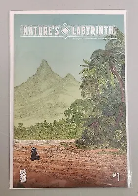 Buy Nature's Labyrinth #1 Cover A NM Filya Bratukhin Cover  Mad Cave 2022 $5 Min Ord • 2.79£
