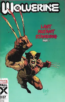 Buy WOLVERINE #37 CAPULLO Variant - New Bagged (S) • 9.99£