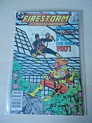 Buy The Fury Of Firestorm The Nuclear Man  DC Comics  October 1984  Bagged & Boarded • 6£