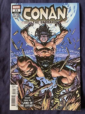 Buy Conan The Barbarian #23 (2021) Bagged & Boarded • 5.45£