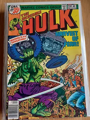 Buy Incredible Hulk 230 - 1978 • 6.99£