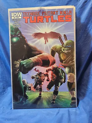 Buy IDW Comics Teenage Mutant Ninja Turtles #31 RI Variant Cover IDW VF+ • 47.43£