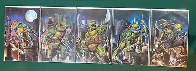 Buy Teenage Mutant Ninja Turtles #101-105 - Emil Cabaltierra | 5-Book Virgin Set • 40£