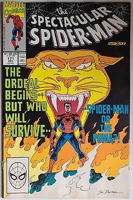 Buy Spectacular Spider-Man #171 (12/1990) F/VF - Marvel • 4.88£