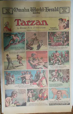 Buy Tarzan Sunday Page By Hal Foster From 6/21/1936 Very Rare! Full Page Size • 15.86£
