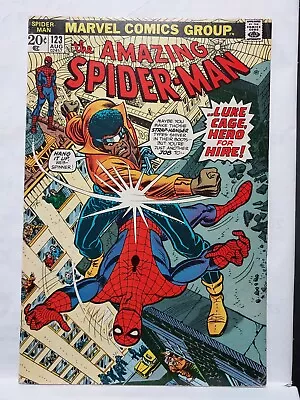 Buy Amazing Spider-Man # 123  F/VF  Luke Cage, Gwen Stacey’s Funeral Marvel Comics • 59.38£