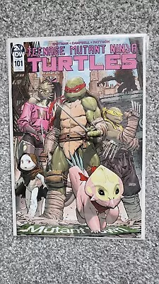 Buy Teenage Mutant Ninja Turtles #101 Variant Ri 1:10 Weaver IDW Mona Lisa Lita • 25£