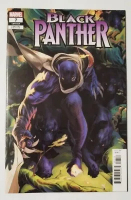 Buy Black Panther #7 Lozano Var (1:25)  Marvel  Comics  Stock 🔥🔥 • 12.80£