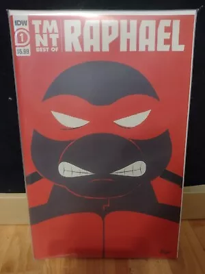Buy Teenage Mutant Ninja Turtles: Tmnt Best Of Raphael #1 - Idw Bagged & Boarded • 10£