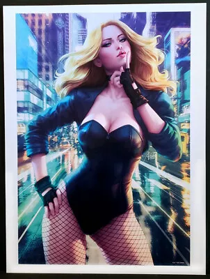 Buy  Black Canary  Fine Art Print By Stanley  Artgerm  Lau Catwoman 12x16 Card Stock • 12.99£