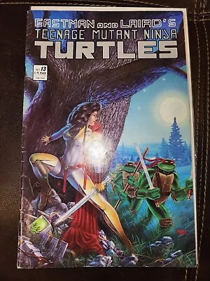 Buy Teenage Mutant Ninja Turtles Comic Book #13 1988 Mirage Studios • 11.86£
