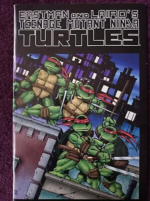 Buy Comics:teenage Mutant Ninja Turtles 13 Vol 2 Misprint+tmnt 1 Misprint Colour. • 80£