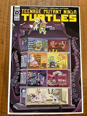 Buy Teenage Mutant Ninja Turtles 111, IDW Comic, Kevin Eastman 1st Print 2020, NM • 2.39£