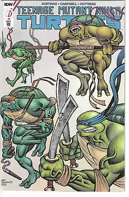 Buy Teenage Mutant Ninja Turtles #113 (2011) 1:10 Lesniewski Variant TMNT IDW • 10.40£