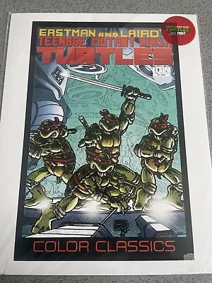 Buy Teenage Mutant Ninja Turtles Color Classics IDW #4 Front Cover Art Print • 9.99£