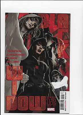 Buy Black Widow # 12 1st Print Adam Hughes Cover  Marvel Comics NM • 9.50£