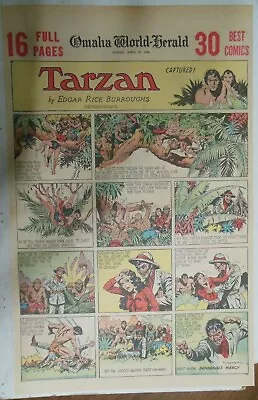 Buy Tarzan Sunday Page #424 Burne Hogarth From 4/23/1939 Very Rare Full Page Size • 15.89£