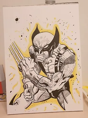 Buy Marvel Wolverine A4 Sketch • 1.25£
