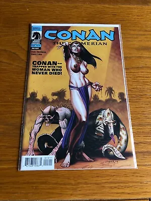 Buy Conan The Cimmerian 15. Nm Cond. 2009. Dark Horse. • 2.50£