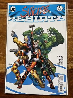 Buy Suicide Squad Issue 1. 2016. Amanda Conner Variant Cover. Part Of Rebirth. VFN+ • 0.99£