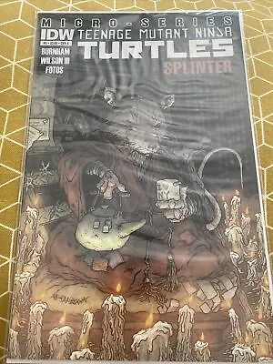 Buy IDW COMICS Teenage Mutant Ninja Turtles Micro Series #5 Cover A TMNT Splinter • 5£