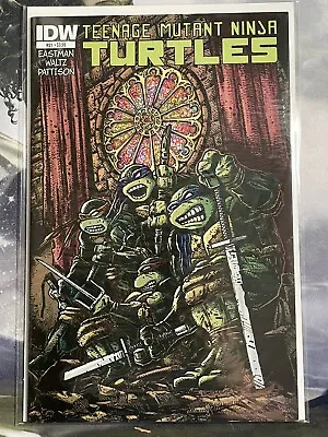Buy Teenage Mutant Ninja Turtles #21 A Cover Variant IDW Eastman • 11.87£
