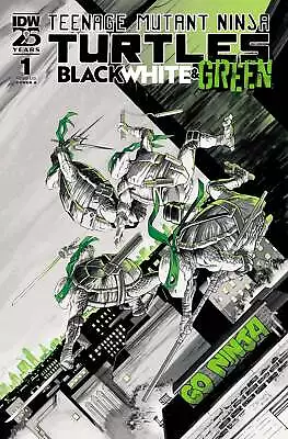 Buy Teenage Mutant Ninja Turtles: Black, White, And Green #1 (2024) VF+ • 4.93£