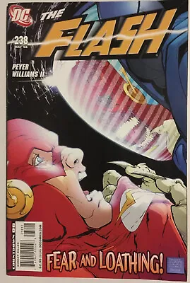 Buy Flash #238 • KEY 1st Appearance Of Spin! (DC 2009) FN • 2.40£