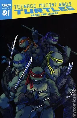 Buy Teenage Mutant Ninja Turtles Reborn TPB #1-1ST VF 2020 Stock Image • 15.58£