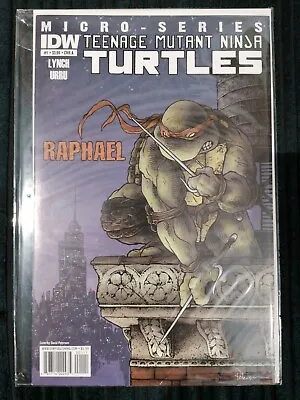 Buy Teenage Mutant Ninja Turtles Micro-Series 1 Raphael IDW Comics Cover A • 31£