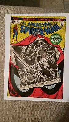Buy Amazing Spider-Man # 113 1st Appearance Of Hammerhead • 35.62£
