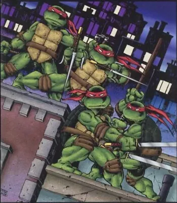 Buy Teenage Mutant Ninja Turtles TMNT Comics • 11.72£