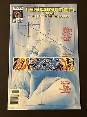 Buy Terminator: The Burning Earth #1 VF 1990 Alex Ross Newsstand • 14.18£