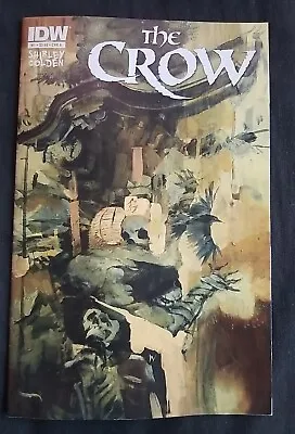 Buy The Crow Death And Rebirth #1 First Printing- IDW July 2012  • 11.85£