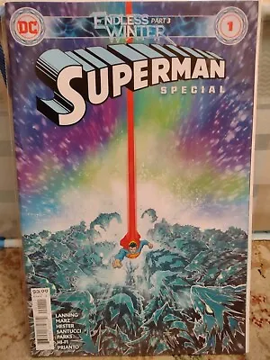 Buy SUPERMAN: ENDLESS WINTER SPECIAL #1 VF (Endless Winter Part 3) (2021) DC Comics  • 2£