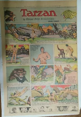 Buy Tarzan Sunday Page #450 Burne Hogarth From 10/22/1939 Very Rare Full Page Size • 15.81£