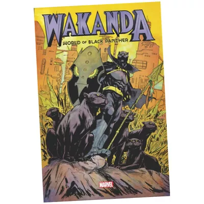Buy Wakanda: World Of Black Panther Omnibus - Evan Narcisse (2022, Hardback) • 100.25£