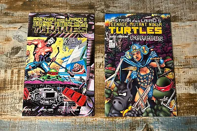 Buy Eastman & Laird TEENAGE MUTANT NINJA TURTLES #8 & #30 Casey Jones Comic Book Lot • 17.46£