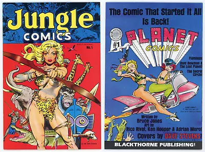 Buy Jungle Comics #1 (VF- 7.5) Rare DAVE STEVENS Sheena Cover Art 1988 Blackthorne • 175.26£