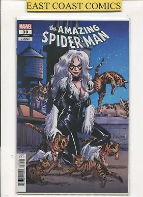 Buy Amazing Spider-man #30 Mike Vosburg Black Cat Variant - Marvel • 3.95£