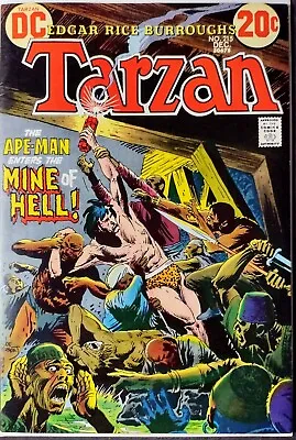 Buy Tarzan #215 DC Comics December 1972 Very Good/Fine 5.0 • 3.95£