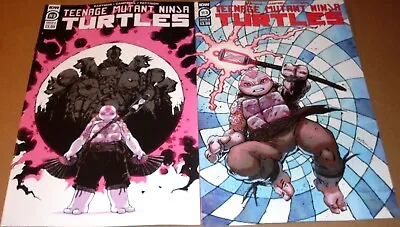 Buy TMNT #113 Sophie Campbell + Kevin Eastman IDW Teenage Mutant Ninja Turtles Lita • 11.98£