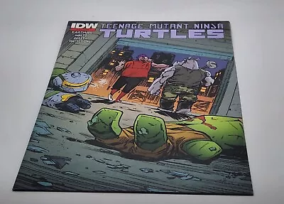 Buy Teenage Mutant Ninja Turtles #44 2ND Print Variant IDW Eastman • 13.48£
