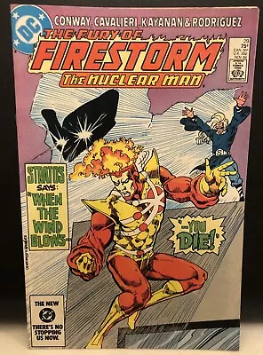 Buy The Fury Of Firestorm #29 Comic Dc Comics • 2.46£